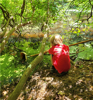 Camp Kent Nature Program