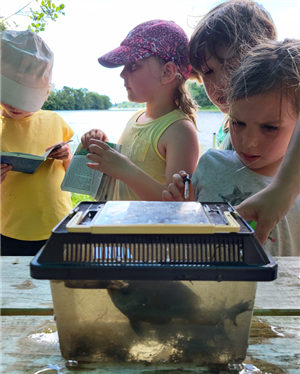 Camp Kent Nature Program