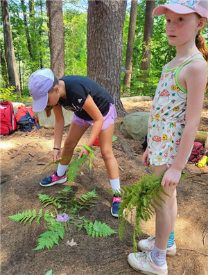 Camp Kent Nature Program