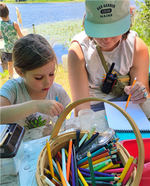 Camp Kent Nature Program