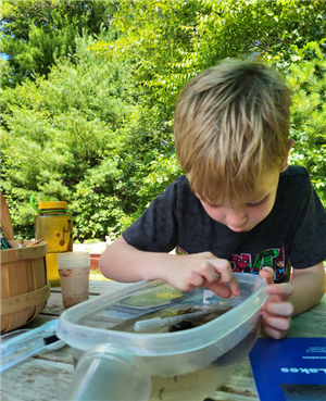 Camp Kent Nature Program