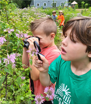 Camp Kent Nature Program