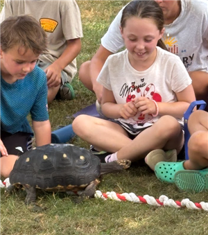 Curious Creatures Show at Town Park