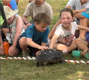 Curious Creatures Show at Town Park