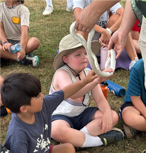 Curious Creatures Show at Town Park
