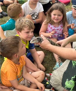 Curious Creatures Show at Town Park