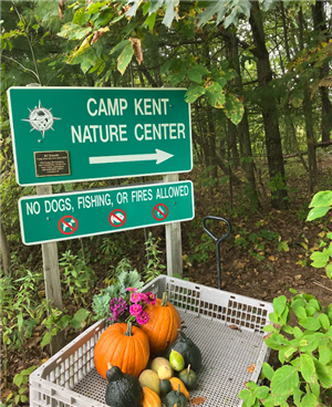 Camp Kent Fall Edition